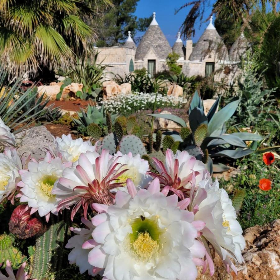 Villa Trullo Bosco Libero Ostuni Exterior foto