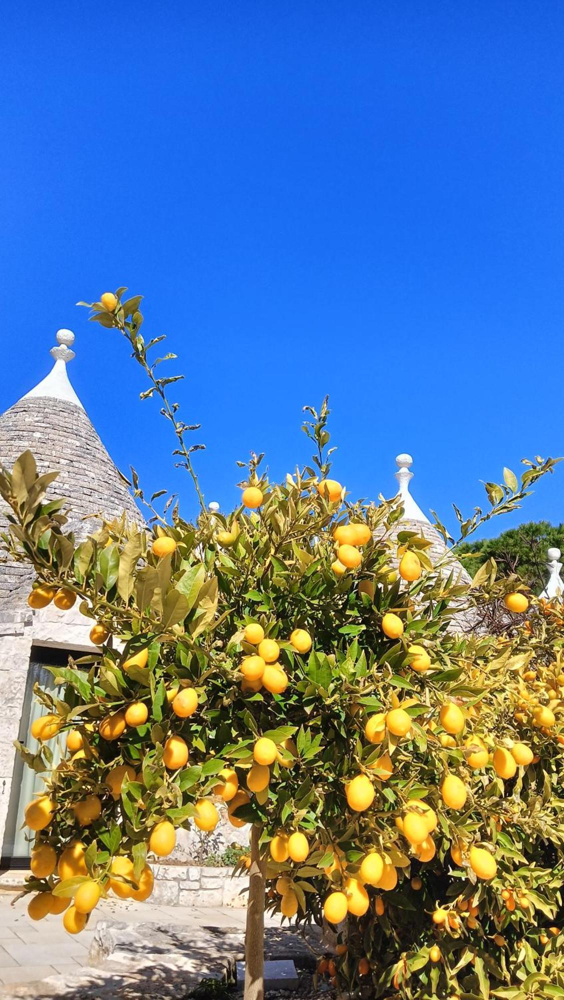 Villa Trullo Bosco Libero Ostuni Exterior foto