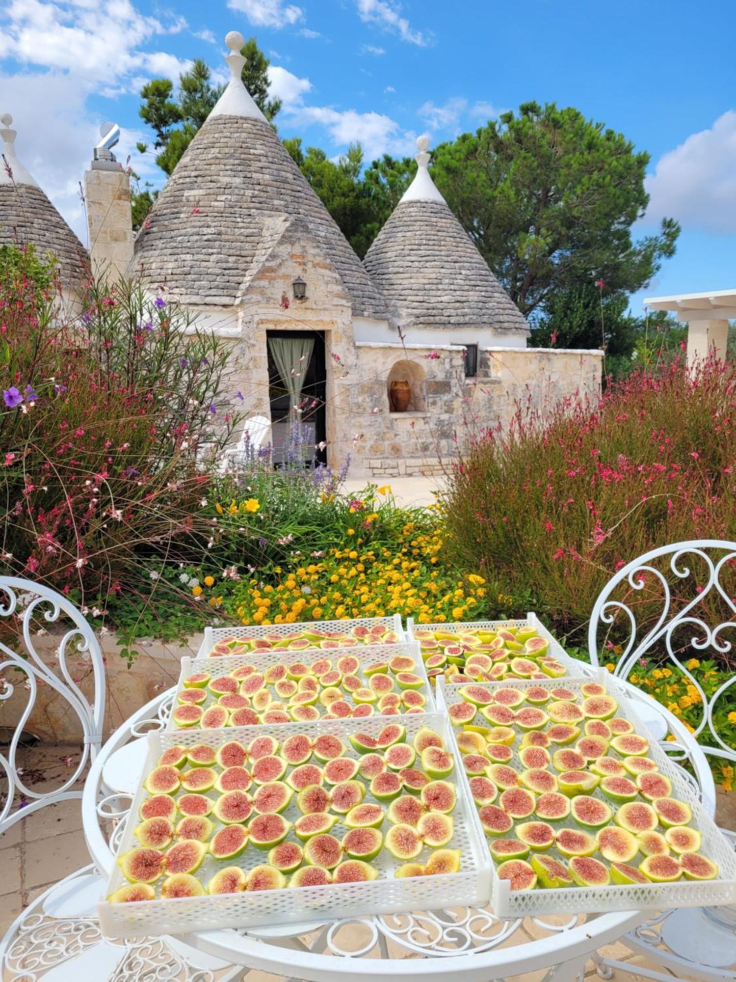 Villa Trullo Bosco Libero Ostuni Exterior foto