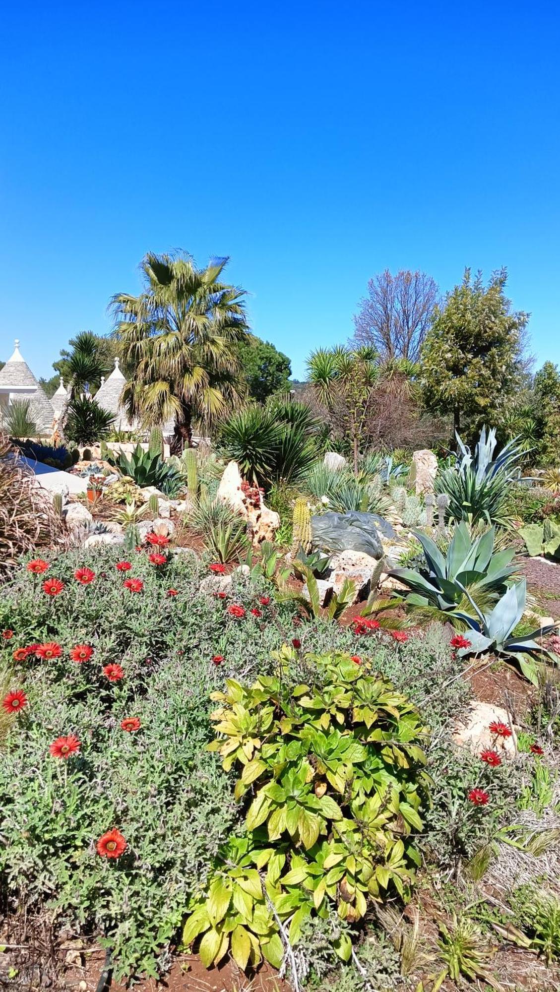 Villa Trullo Bosco Libero Ostuni Exterior foto